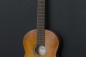 Modélisation - Guitare